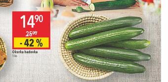 Globus Okurka hadovka nabídka