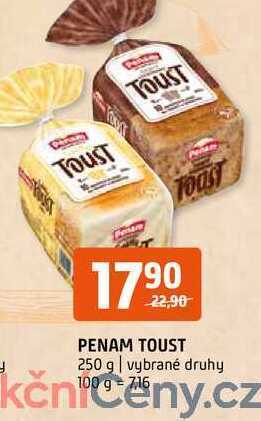 Terno Penam toust 250 g nabídka
