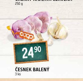 Terno Česnek balený nabídka