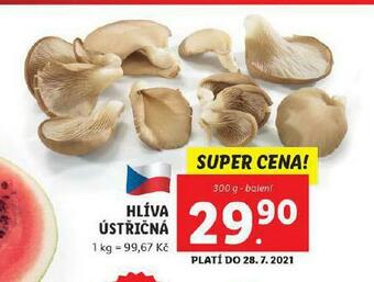 Lidl Hlíva ústřičná nabídka