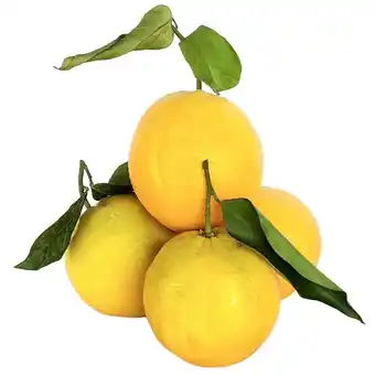 Sicilské pomeranče s lístky, volně