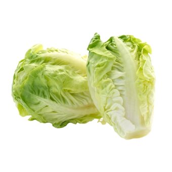 Salát little gem zelený, sáček (2×cca100g)