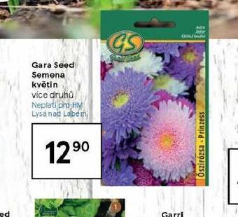 Tesco Gara seed semena květin nabídka