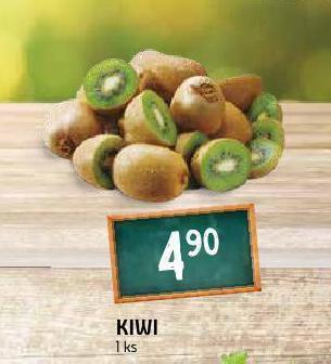 Terno Kiwi nabídka