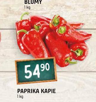 Terno Paprika kapie nabídka