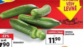 Lidl Okurka salátová nabídka