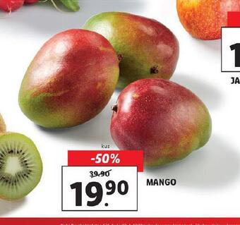 Lidl Mango nabídka