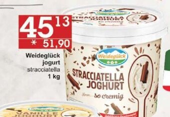 Jip Weidegluck jogurt 1kg nabídka
