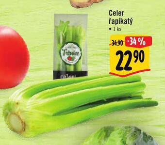 Albert Celer řapíkatý nabídka
