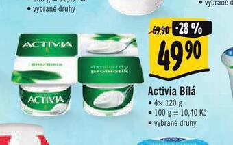 Albert Activia bílá nabídka