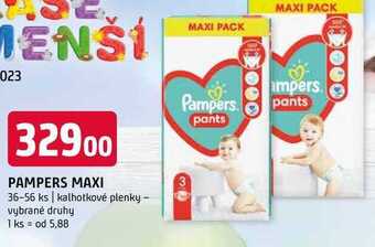 Terno Pampers maxi 36-56 ks kalhotkové plenky nabídka