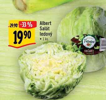 Albert Albert salát ledový 1 ks nabídka