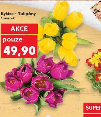 Kaufland Kytice tulipány nabídka