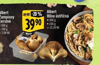 Albert Albert hlíva ústřičná nabídka