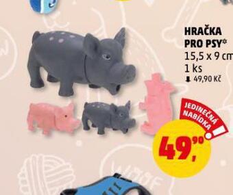 Penny Market Hračka pro psy nabídka