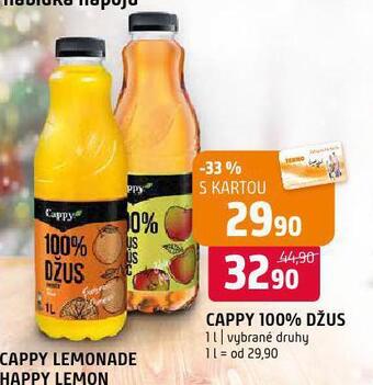 Terno Cappy 100% džus nabídka