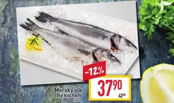 Mořský vlk