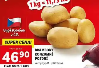Brambory konzumní pozdní, 4 kg