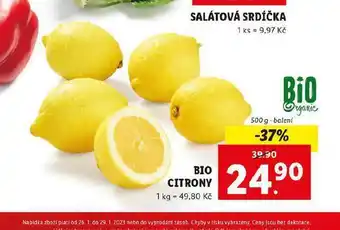 Lidl Bio cizrna nabídka