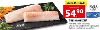 Lidl Treska obecná, cena za 100 g nabídka