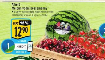 Jip Meloun vodní bezsemenný nabídka