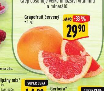 Albert Grapefruit nabídka