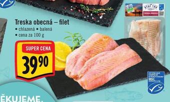 Albert Treska obecná nabídka