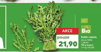Kaufland Salát rukola nabídka