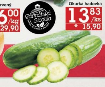 Jip Okurka hadovka nabídka