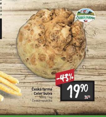 Billa Celer bulva nabídka