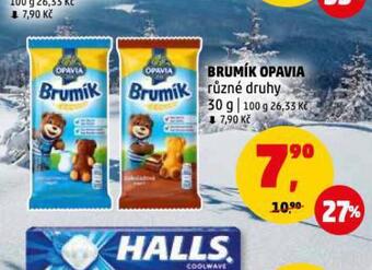 Brumík opavia