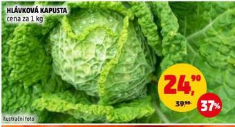 Penny Market Hlávková kapusta nabídka