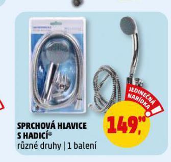 Sprchová hlavice s hadicí