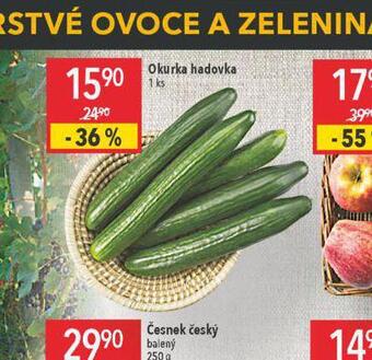 Globus Okurka hadovka nabídka