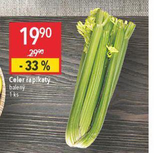 Globus Celer řapíkatý nabídka