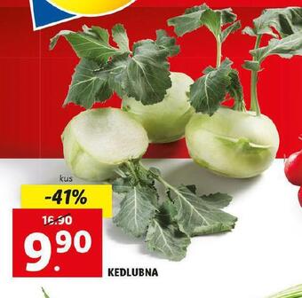 Lidl Kedlubna nabídka