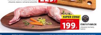 Lidl Čerstvý králík nabídka