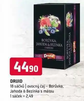 Terno Druid 18 sáčků | ovocný čaj nabídka