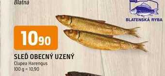 Trefa Sleď obecný uzený 100g nabídka