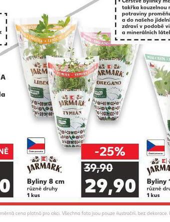 Kaufland Bylinky 8 cm nabídka