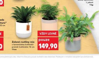 Kaufland Zelené rostliny mix nabídka
