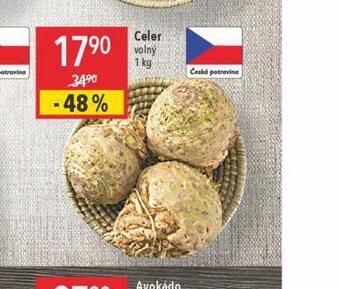 Globus Celer nabídka