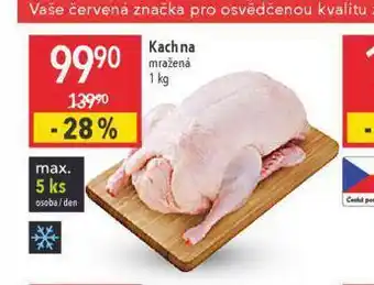 Kachna mražená