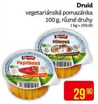 Teta Druid vegetariánská pomazánka 100 g, různé druhy nabídka