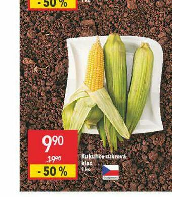 Globus Kukuřice cukrová nabídka