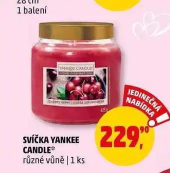 Penny Market Svíčka yankee candle, 1 ks nabídka