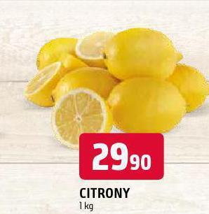 Terno Citrony nabídka