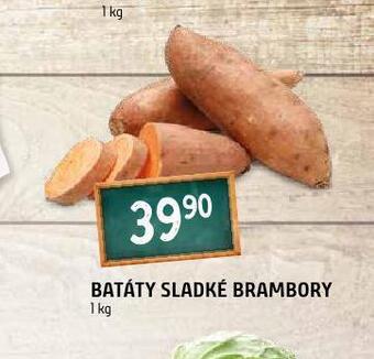 Terno Batáty sladké brambory nabídka