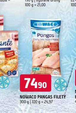 Terno Nowaco pangas filety nabídka