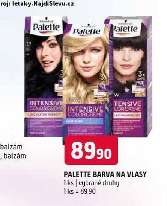Terno Palette barva na vlasy nabídka